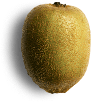 Cocina-HEB_0014_Kiwipng copy