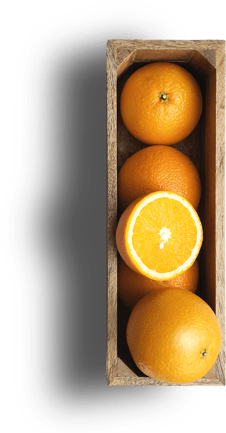 Cocina-HEB_0020_Naranjaspng copy